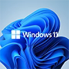 Windows 11 Home 64-Bit