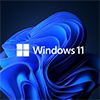 Windows 11 Pro 64-Bit